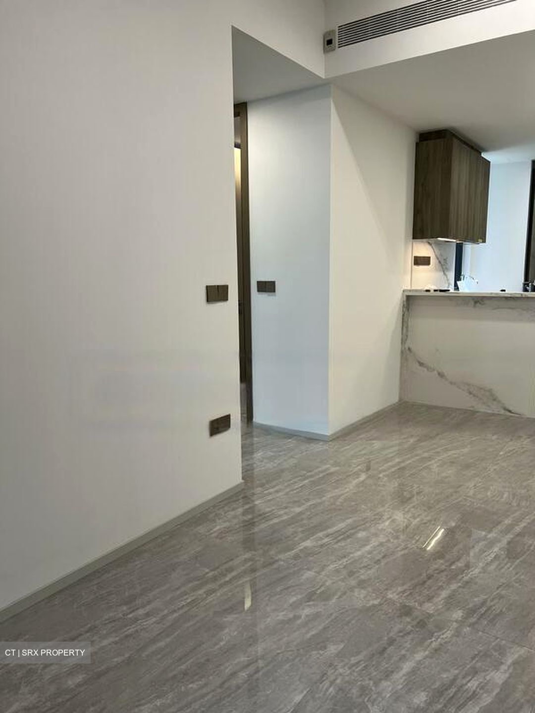 Leedon Green (D10), Condominium #635048661